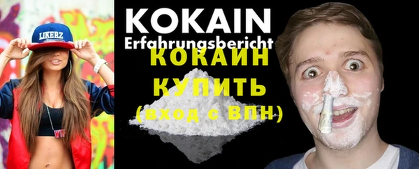 гашик Сафоново