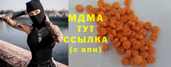 гидра Богородск