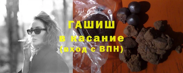 гидра Богородск