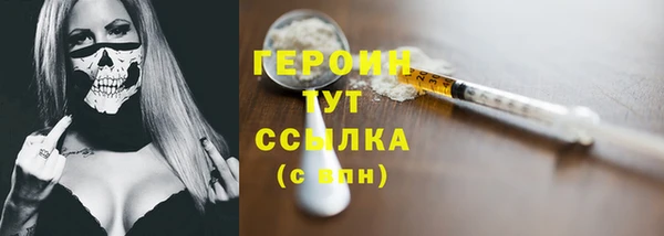гидра Богородск