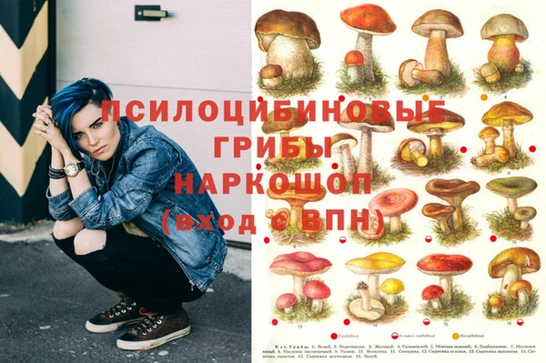 гидра Богородск