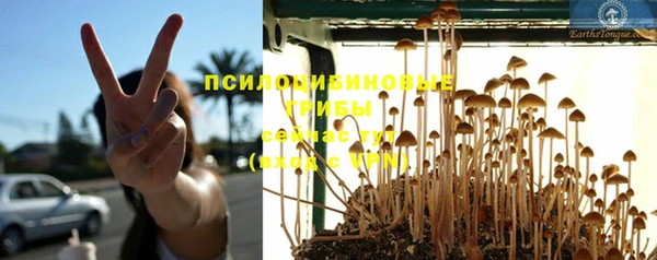прущая мука Богданович