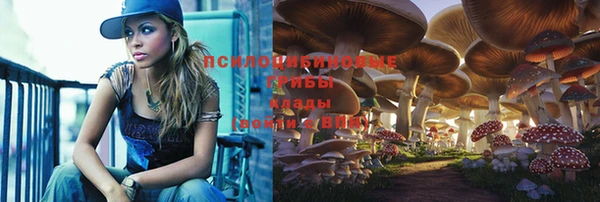 твердый Балахна