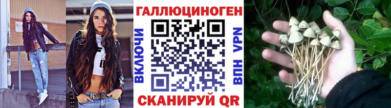 Галлюциногенные грибы Magic Shrooms  маркетплейс как зайти  Великий Устюг 